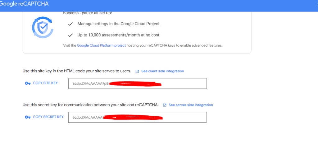 Laravel 11 Google Recaptcha V3 Validation Tutorial